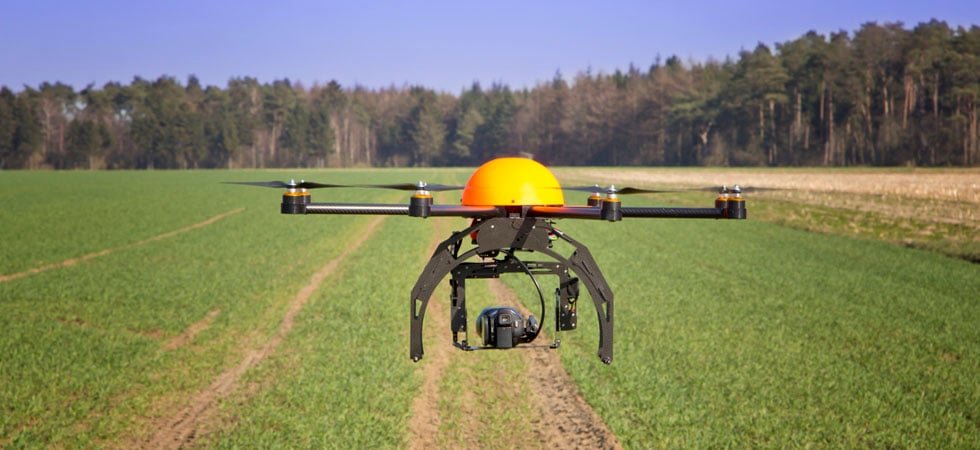 georgia akriveias up